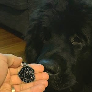 newfoundland nora.jpg